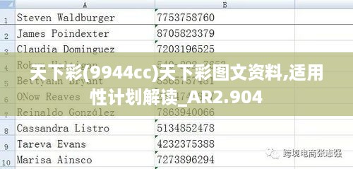 天下彩(9944cc)天下彩圖文資料,適用性計劃解讀_AR2.904