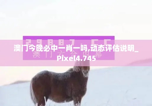 澳門今晚必中一肖一嗎,動(dòng)態(tài)評(píng)估說明_Pixel4.745