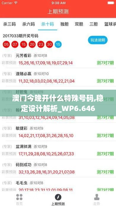 澳門今晚開什么特殊號碼,穩(wěn)定設(shè)計解析_WP6.646