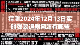 2024年實時彈幕追劇網(wǎng)站展望，背景、發(fā)展與行業(yè)地位深度解析