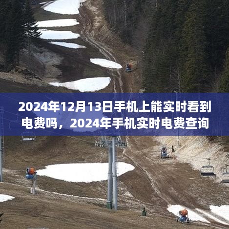 2024年手機實時電費查詢，便捷生活一觸即發(fā)