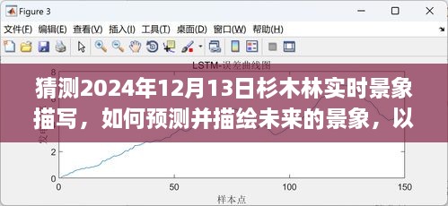 預(yù)測與描繪未來，杉木林在2024年12月13日的實(shí)時(shí)景象