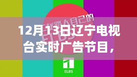 遼寧電視臺(tái)揭秘最新高科技產(chǎn)品，重塑未來(lái)生活體驗(yàn)直播秀