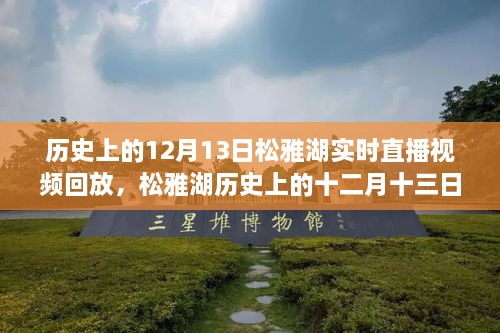 松雅湖直播回放，探尋歷史記憶碎片的十二月十三日