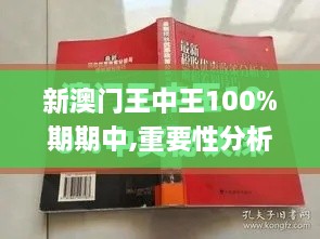 新澳門(mén)王中王100%期期中,重要性分析方法_紀(jì)念版5.761