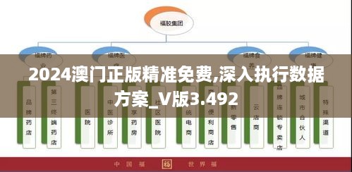 2024澳門正版精準(zhǔn)免費,深入執(zhí)行數(shù)據(jù)方案_V版3.492