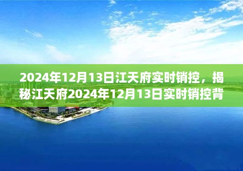 揭秘江天府實時銷控背后的秘密，深度解析2024年12月13日數(shù)據(jù)動態(tài)與趨勢分析