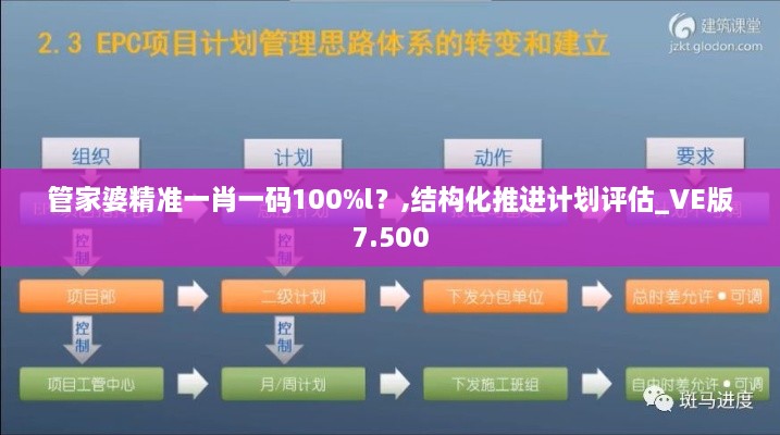 管家婆精準一肖一碼100%l？,結構化推進計劃評估_VE版7.500