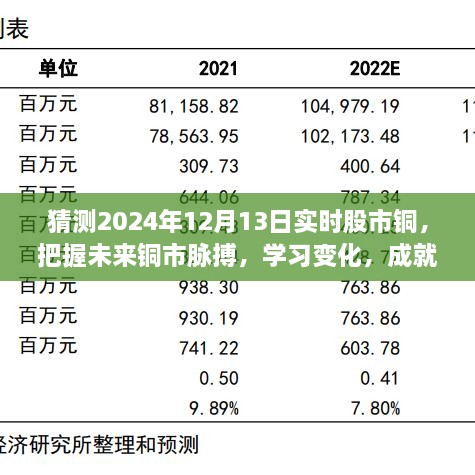 揭秘2024年12月13日股市銅市走向，洞悉變化成就投資夢(mèng)想