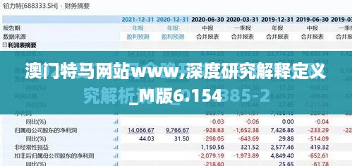 澳門特馬網(wǎng)站www,深度研究解釋定義_M版6.154