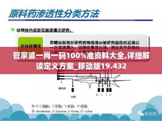 管家婆一肖一碼100%準(zhǔn)資料大全,詳細(xì)解讀定義方案_移動(dòng)版19.432