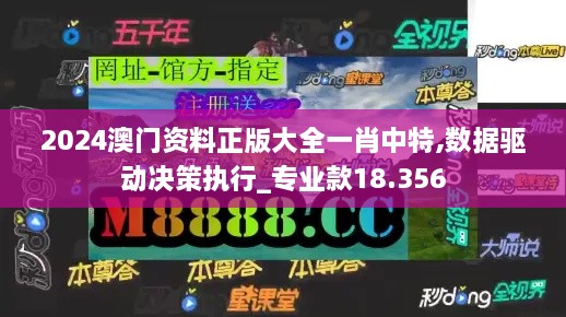 2024澳門(mén)資料正版大全一肖中特,數(shù)據(jù)驅(qū)動(dòng)決策執(zhí)行_專(zhuān)業(yè)款18.356