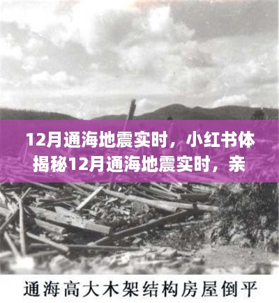 揭秘通海地震親歷者真實感受與應(yīng)對策略，小紅書實時更新地震動態(tài)！