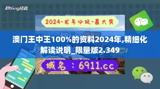 澳門(mén)王中王100%的資料2024年,精細(xì)化解讀說(shuō)明_限量版2.349