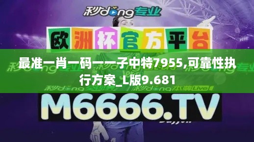 最準(zhǔn)一肖一碼一一子中特7955,可靠性執(zhí)行方案_L版9.681