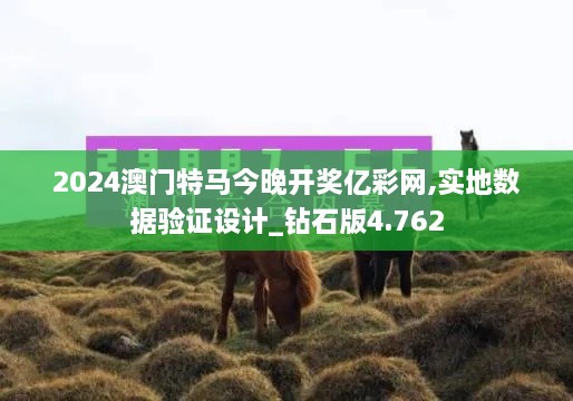 2024澳門特馬今晚開獎億彩網(wǎng),實地數(shù)據(jù)驗證設(shè)計_鉆石版4.762