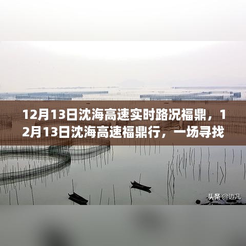 12月13日沈海高速福鼎路況實時更新，心靈與自然之旅的親密接觸