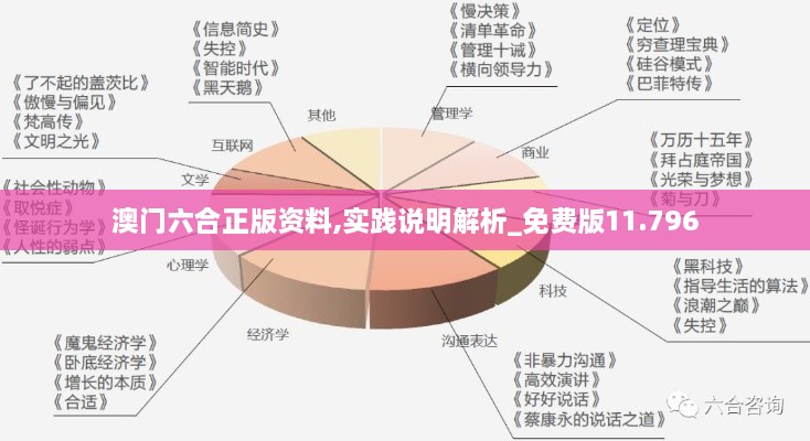 澳門六合正版資料,實踐說明解析_免費版11.796