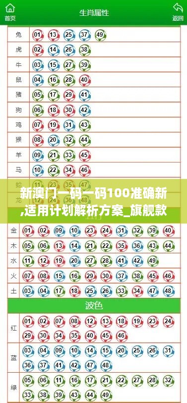 新澳門一碼一碼100準確新,適用計劃解析方案_旗艦款2.346