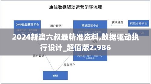 2024新澳六叔最精準資料,數(shù)據(jù)驅(qū)動執(zhí)行設(shè)計_超值版2.986