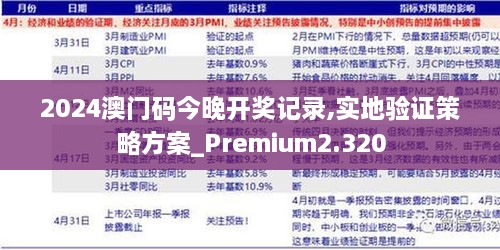 2024澳門碼今晚開獎(jiǎng)記錄,實(shí)地驗(yàn)證策略方案_Premium2.320