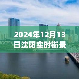 沈陽(yáng)獨(dú)家揭秘，2024年實(shí)時(shí)街景地圖全解析，領(lǐng)略城市新風(fēng)貌