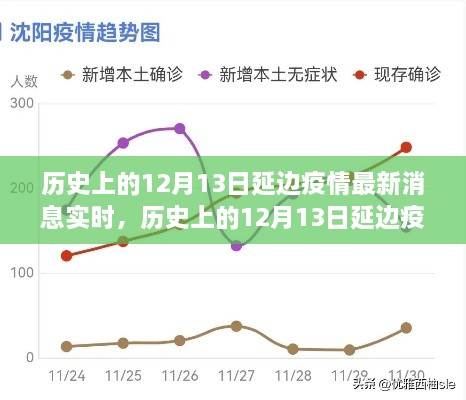 多維度視角下的深度分析，歷史上的延邊疫情最新消息實時報道與解讀（截至12月13日）