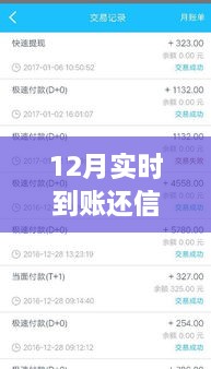 12月實(shí)時(shí)到賬，高效管理信用卡欠款，輕松還信用卡