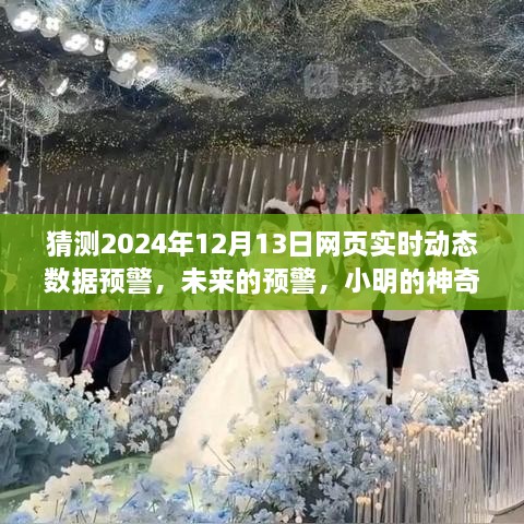 小明預(yù)測未來，神奇數(shù)據(jù)故事揭示2024年12月13日網(wǎng)頁實(shí)時動態(tài)數(shù)據(jù)預(yù)警