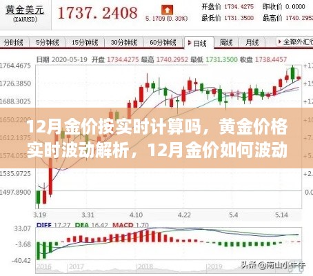 12月黃金價格實時解析，波動原因及預(yù)測