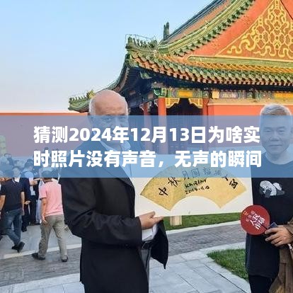 揭秘?zé)o聲瞬間背后的故事，為何2024年實(shí)時(shí)照片無(wú)聲開(kāi)啟學(xué)習(xí)與成長(zhǎng)之旅？