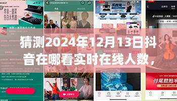 未來視野之旅，揭秘2024年抖音實時在線人數(shù)盛況——家庭日，在線情緣的見證