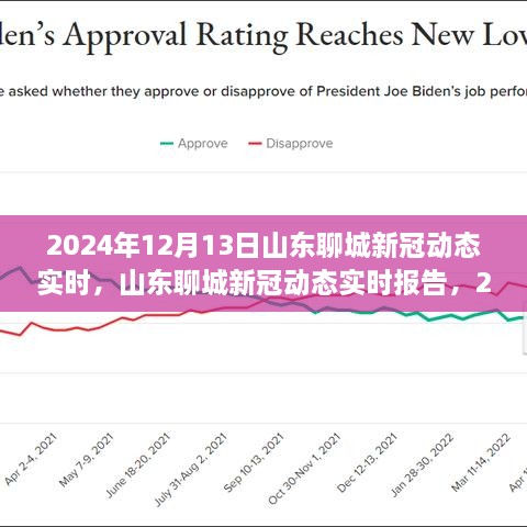 山東聊城新冠疫情動態(tài)報告，回顧與展望（2024年12月13日）