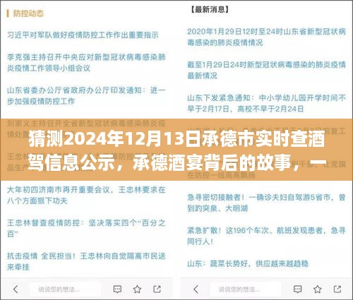 承德酒宴背后的故事，酒駕信息公示探秘之旅（猜測(cè)2024年12月13日承德市實(shí)時(shí)查酒駕信息公示）