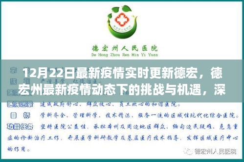 德宏州最新疫情動態(tài)下的挑戰(zhàn)與機遇深度解析，實時更新與觀點闡述