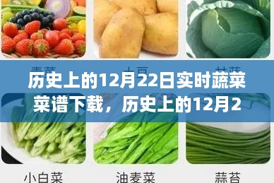 歷史上的12月22日實(shí)時(shí)蔬菜菜譜下載，價(jià)值探討與觀點(diǎn)論述