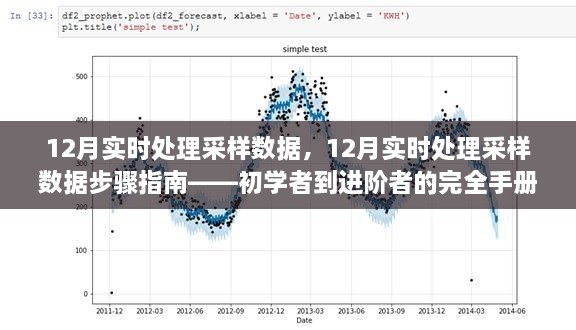 從新手到高手，12月實時處理采樣數(shù)據(jù)的完全指南與步驟解析