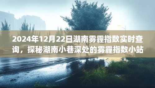 探秘湖南小巷深處，霧霾指數(shù)小站實(shí)時(shí)查詢之旅（2024年12月22日）