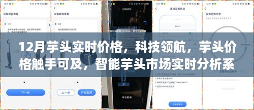 科技領(lǐng)航，智能芋頭市場(chǎng)實(shí)時(shí)分析系統(tǒng)上線，12月芋頭實(shí)時(shí)價(jià)格觸手可及！