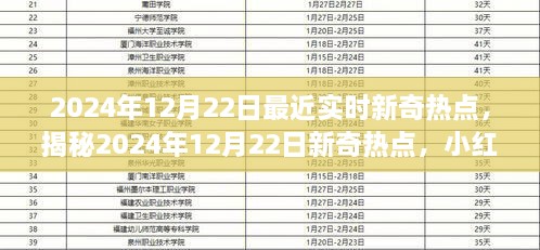 小紅書揭秘，2024年12月22日新奇熱點大揭秘，最新資訊一網打盡