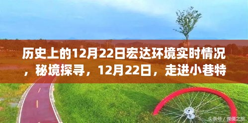 秘境探尋，宏達環(huán)境下的宏大環(huán)境之旅——歷史上的12月22日實時記錄