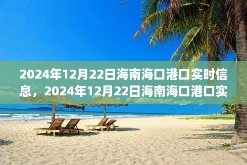 2024年12月22日海南?？诟劭趯崟r信息全解析，小紅書帶你掌握最新動態(tài)