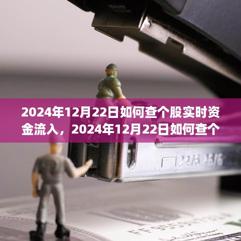 多維度解析與觀點探討，如何查詢個股實時資金流入——以2024年12月22日為例