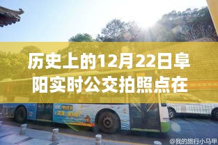 歷史上的12月22日阜陽(yáng)公交之旅，探尋實(shí)時(shí)公交拍照點(diǎn)，尋找心靈的寧?kù)o與自然的饋贈(zèng)