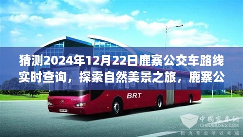 鹿寨公交路線新探秘，啟程2024年12月22日，探尋自然美景之旅實(shí)時(shí)查詢(xún)