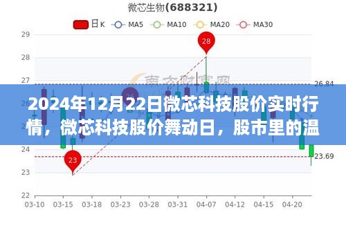 微芯科技股價(jià)實(shí)時(shí)行情解析，股市中的溫情故事在舞動(dòng)日展現(xiàn)（2024年12月22日）