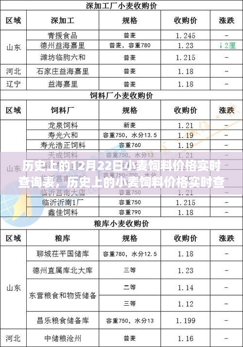 歷史上的小麥飼料價格實時查詢表，聚焦12月22日的觀察與變化