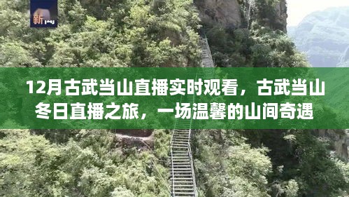 古武當山冬日直播之旅，探尋山間奇遇的溫馨之旅