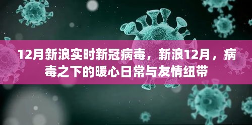 新浪12月，病毒下的暖心日常與友情紐帶，實時新冠病毒報道