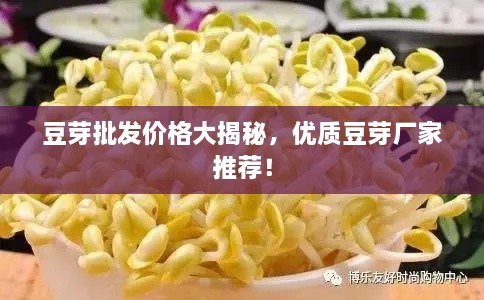 豆芽批發(fā)價格大揭秘，優(yōu)質(zhì)豆芽廠家推薦！